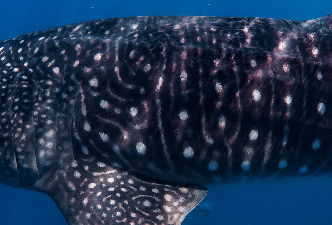 3c47ea5e-43f8-4644-8045-01082a62f57e