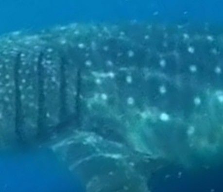 b3e49653-c405-4c48-bb37-f98ee8b7dcff