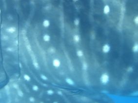 13d961b2-7145-4cea-a06b-dc758745ec04