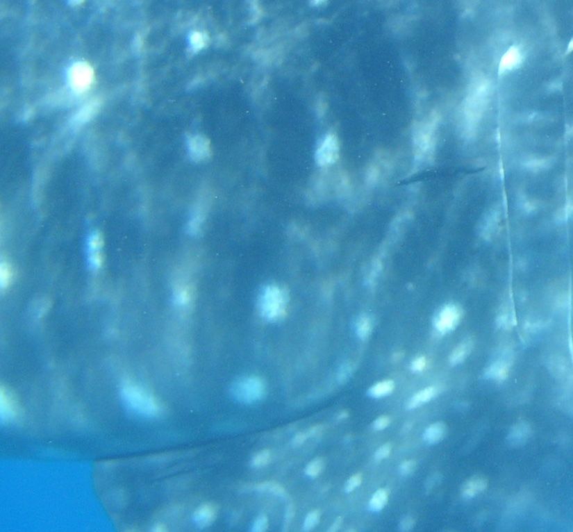 13d961b2-7145-4cea-a06b-dc758745ec04