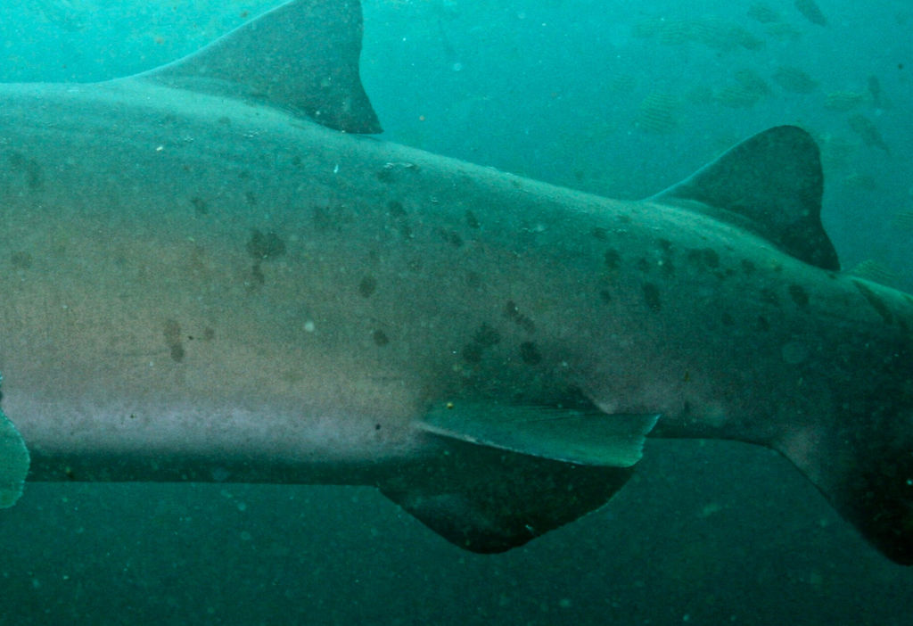 04d6e07e-d522-4e6e-8284-b6c36a91dbcd