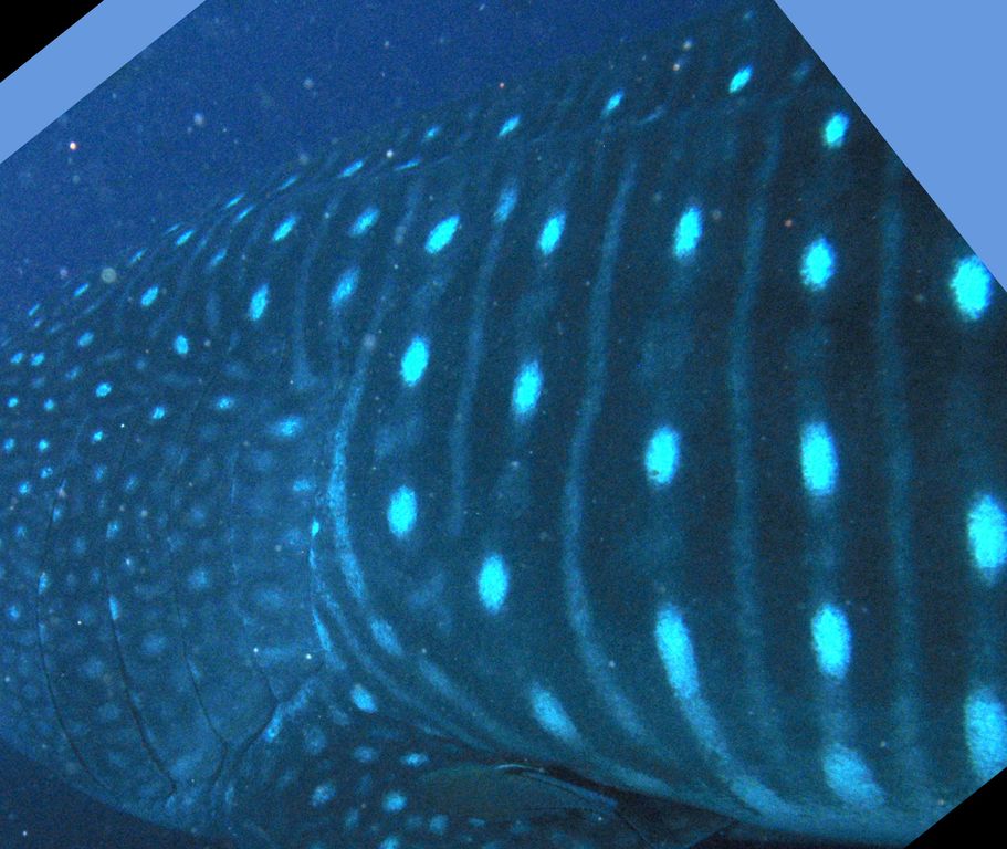 87d12c85-54a8-4e80-b133-d803752a5b1d