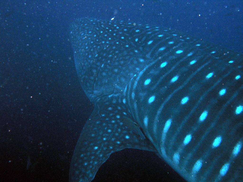 87d12c85-54a8-4e80-b133-d803752a5b1d