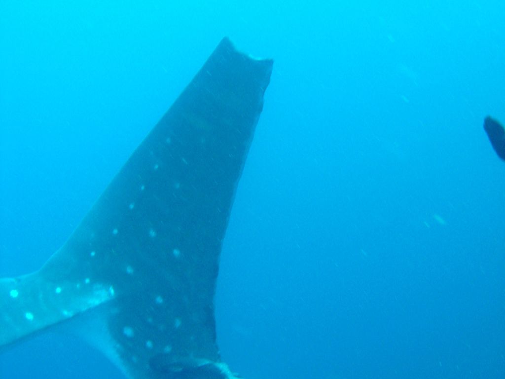 683a3fcf-96de-41b7-b833-de6a4da45dc1