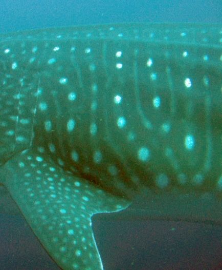 683a3fcf-96de-41b7-b833-de6a4da45dc1