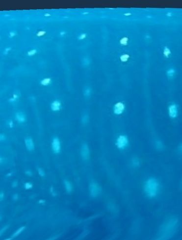 683a3fcf-96de-41b7-b833-de6a4da45dc1