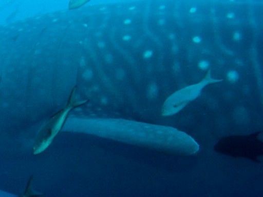 de42934d-bac2-4889-a813-4016e51c14bd