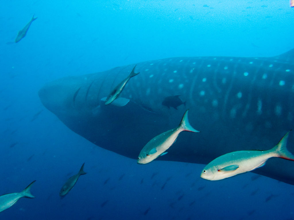 de42934d-bac2-4889-a813-4016e51c14bd