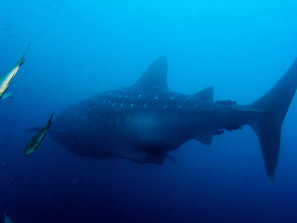 de42934d-bac2-4889-a813-4016e51c14bd