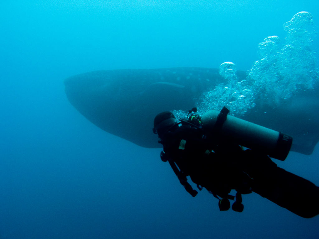 de42934d-bac2-4889-a813-4016e51c14bd