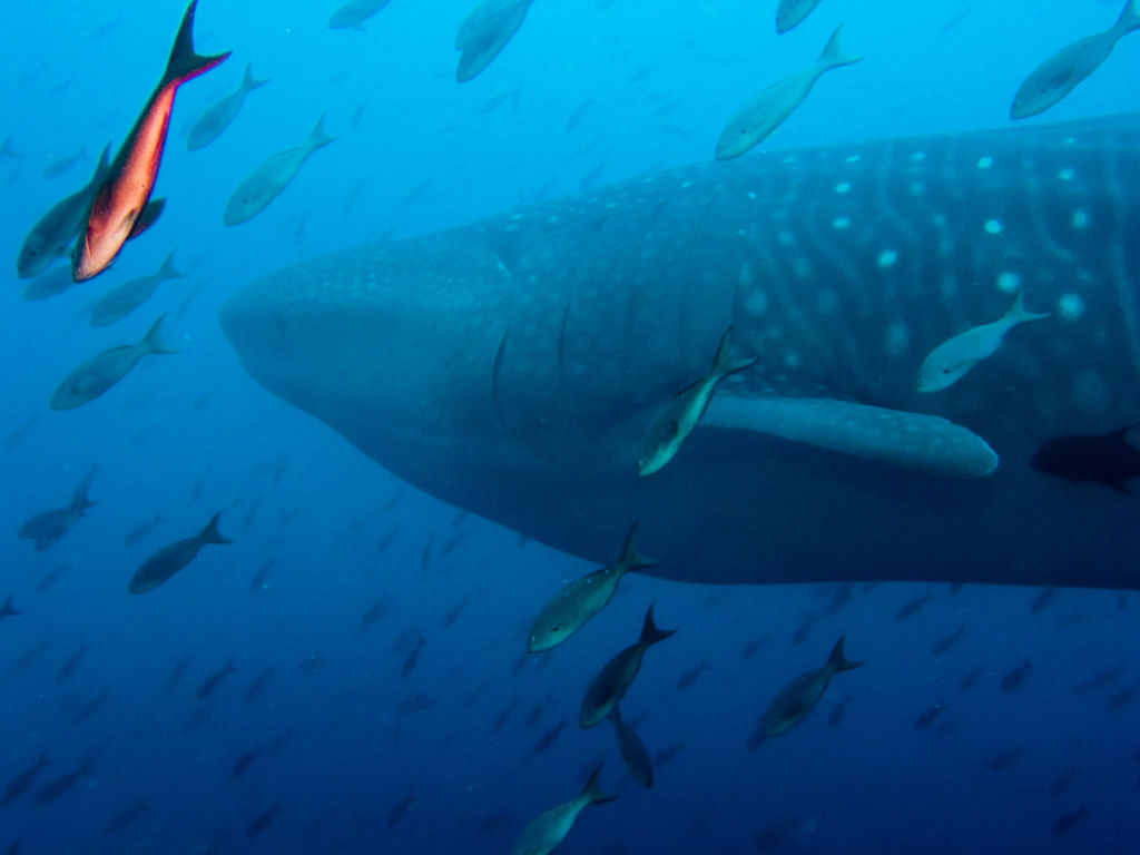 de42934d-bac2-4889-a813-4016e51c14bd