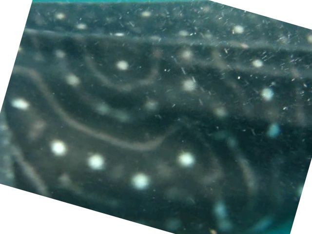 91a49f2d-221d-47ad-b13d-f7504ff57f24