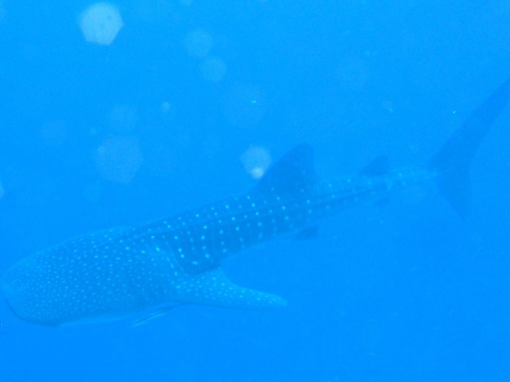 3083d465-fd2b-4d8b-893c-0fef522ca22e