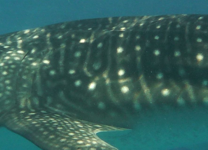 23226d58-15ae-4bc8-afc2-c3dc2f307798