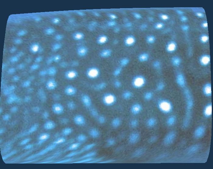 21683db3-3821-4379-85d2-411889092f1d