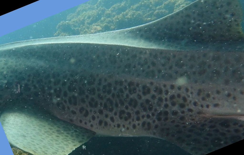 47e017f8-3f03-470b-a81c-cb28c6f390e8