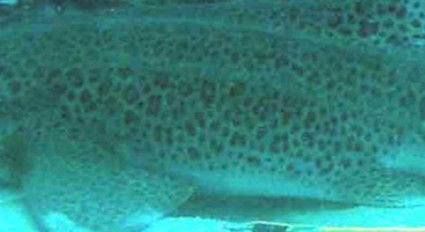 7262232b-3380-4c59-9cdf-d5f23811c38b