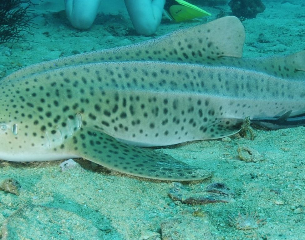 484bf732-8028-4fee-8289-253daac651fe