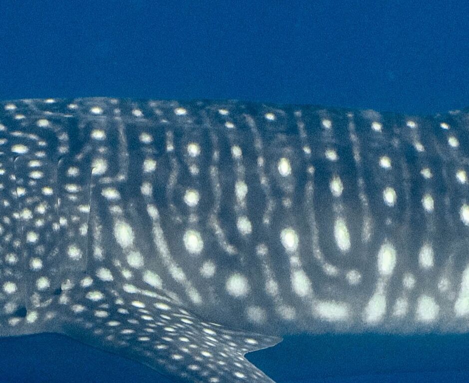 ecefd792-1c7a-4d92-9cae-6b6eb7147085