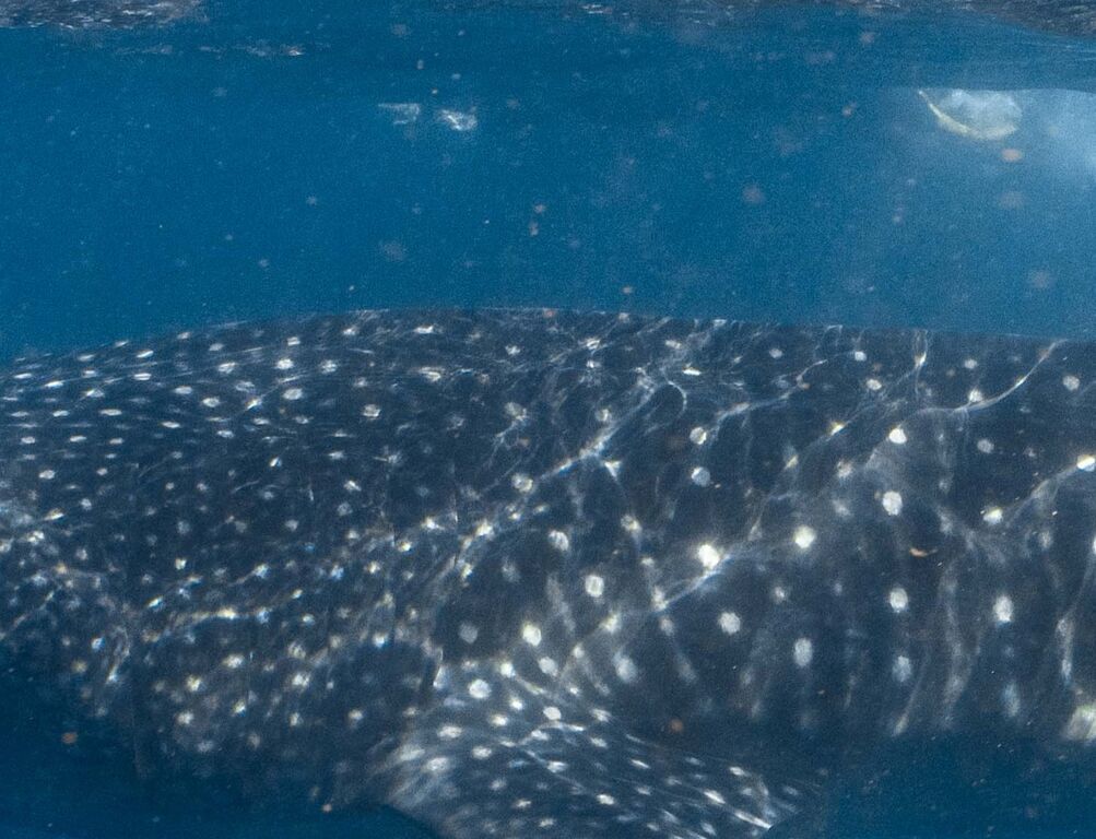 3c3de95f-12f3-4a52-9f17-311fc4404e9c