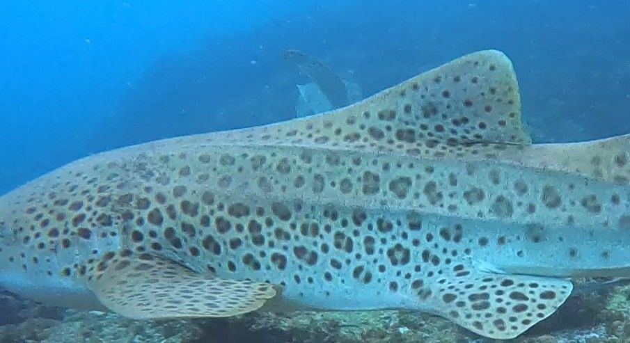 23db88a1-13d5-4fbf-ae7e-849ffbb92b82