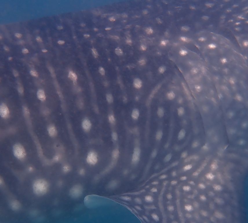 15a3e95c-44e7-493e-b6be-3c93b83c5aaf