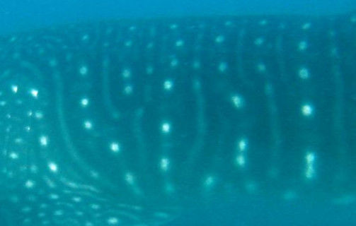 7f816a8c-9b6d-4e18-800b-aafee2efe7bb