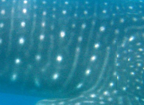 7f816a8c-9b6d-4e18-800b-aafee2efe7bb