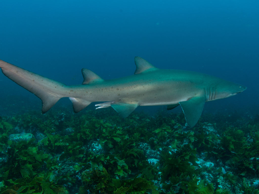 97b1146a-bcf8-4adc-a37d-4bfa91b97b73