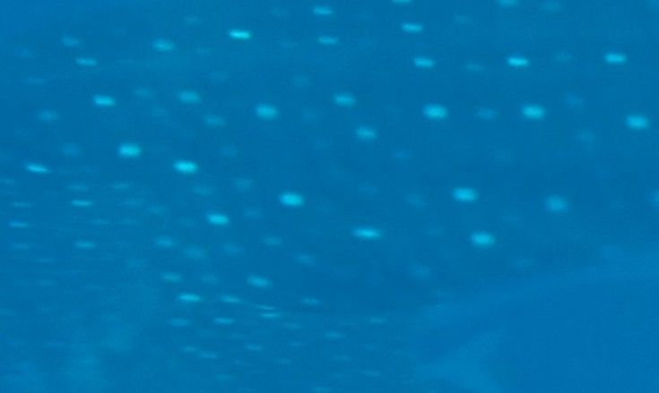 fd91ebc9-0fac-4fa8-95cf-d0fb44444a7f