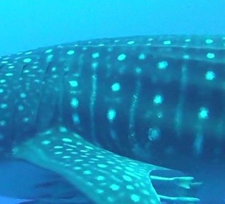 ed816543-3fec-44ac-937b-a809da3ba204