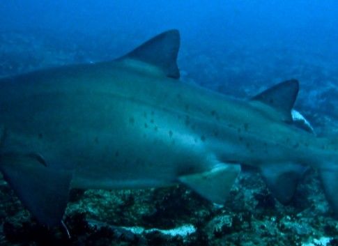 5d12c59a-0b68-4be8-bcec-d22bd13fef08