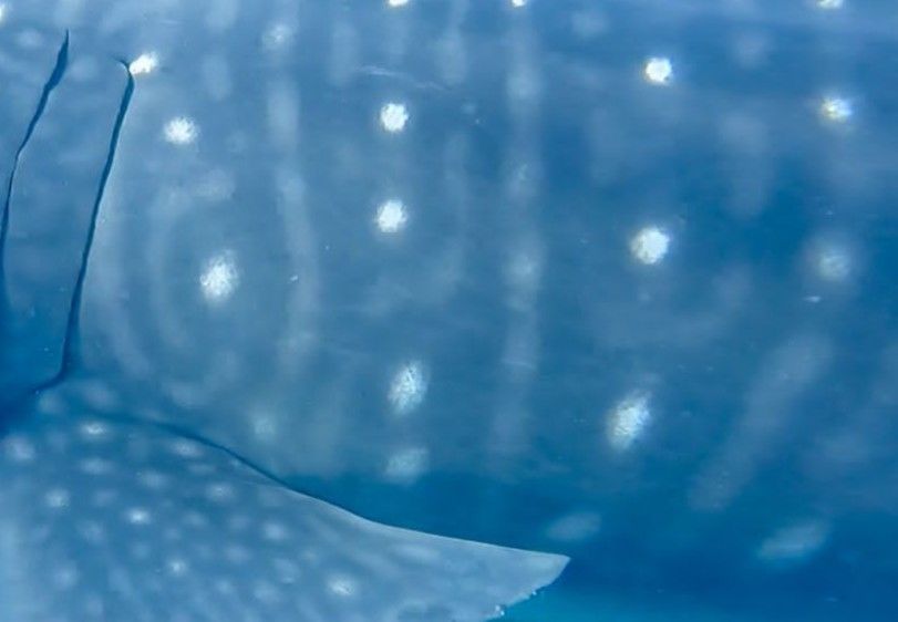 ebfbb74f-922e-4c5c-a761-215afbd461b3