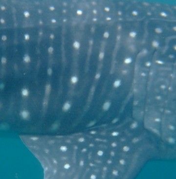 edbeaf5f-664f-408e-8ec8-eda6b0f065f2