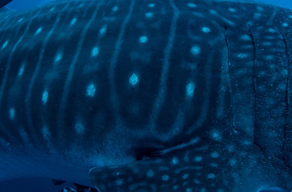 7e852ccc-45e0-43a5-af6b-e971ef59fe80