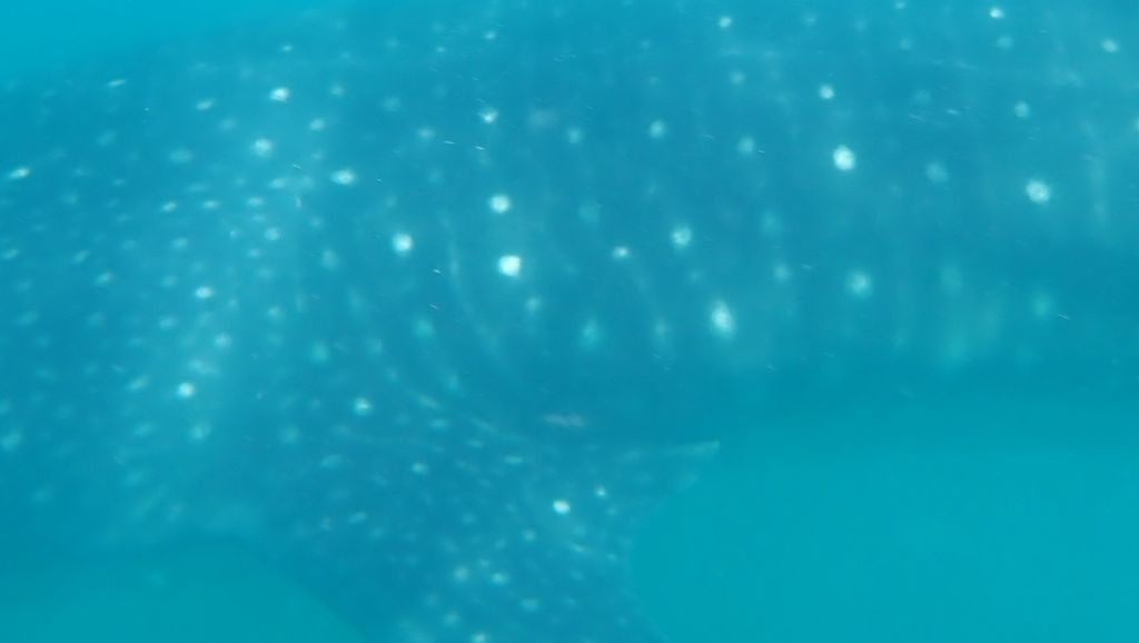 d54d6acf-f0b7-447b-ac16-396e72ea72a4