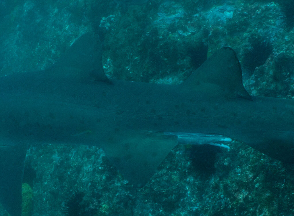 461ed7b6-4359-4f4c-bcfd-33fe084e70b7