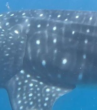 0905d0b5-53b5-415f-a752-f7c5281b931c