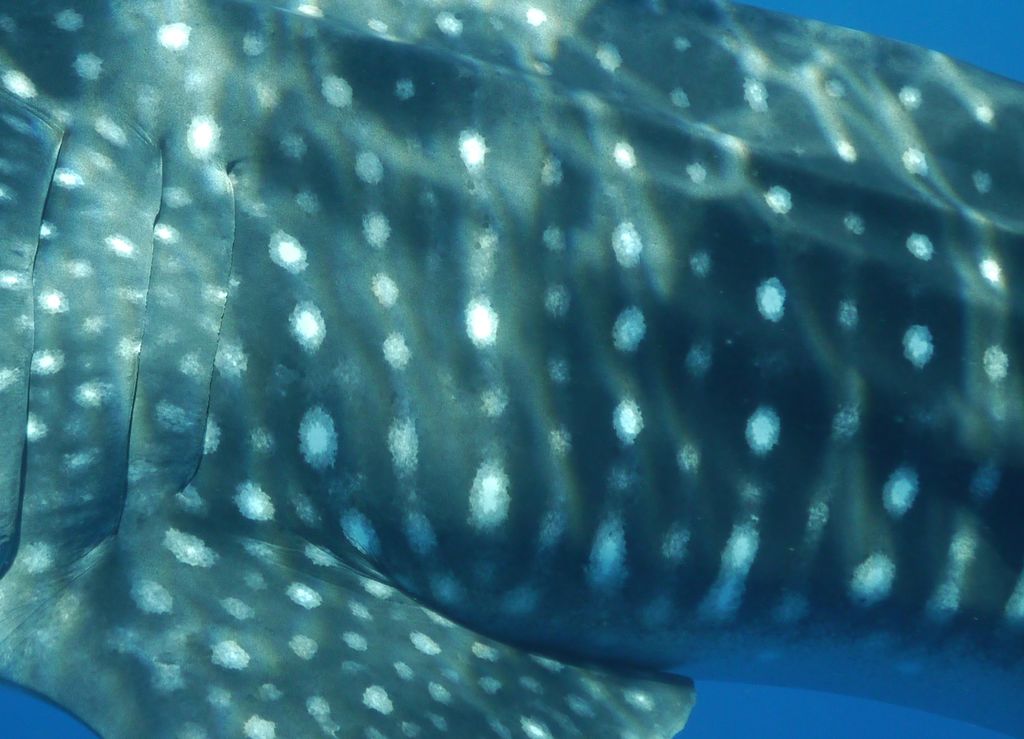 b3c0910f-e066-47cc-9078-28af242d6b57