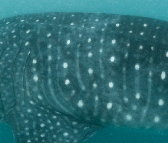 083edb01-6726-4875-9b24-2315f8395944