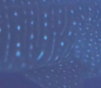 d49d77f1-9b07-4650-98fc-49d17fb79d44