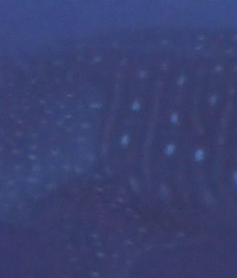 d49d77f1-9b07-4650-98fc-49d17fb79d44