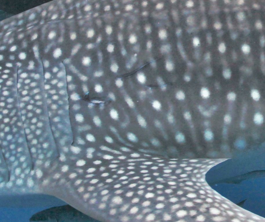 361078d2-6256-47f3-a979-171e8be2bc64