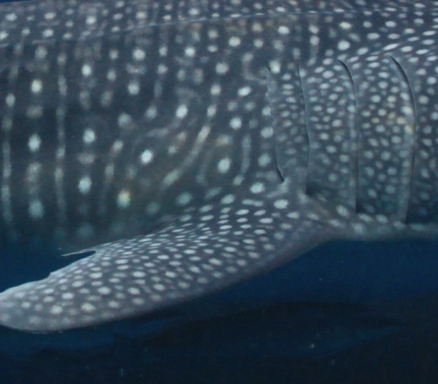 361078d2-6256-47f3-a979-171e8be2bc64