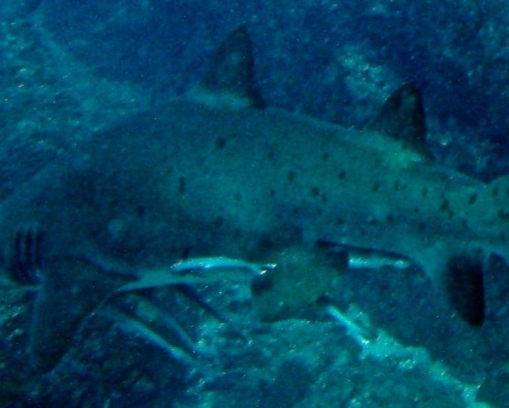 64cb8d3b-e10b-40c8-83f8-1829a5bf5882