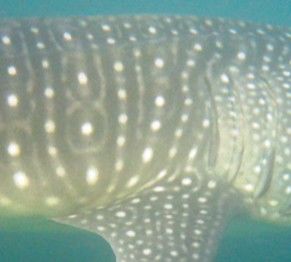 ed566f87-d33d-4c44-8338-6a515c3b2b97