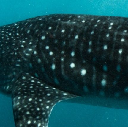 857cbe67-9405-414a-97c9-3a1d5971a3a1