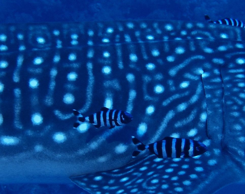 38398800-492d-4cc1-be6d-7cf0a79cab1e