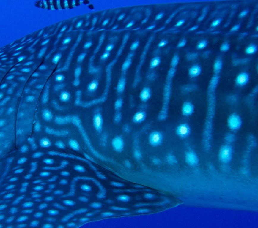 38398800-492d-4cc1-be6d-7cf0a79cab1e