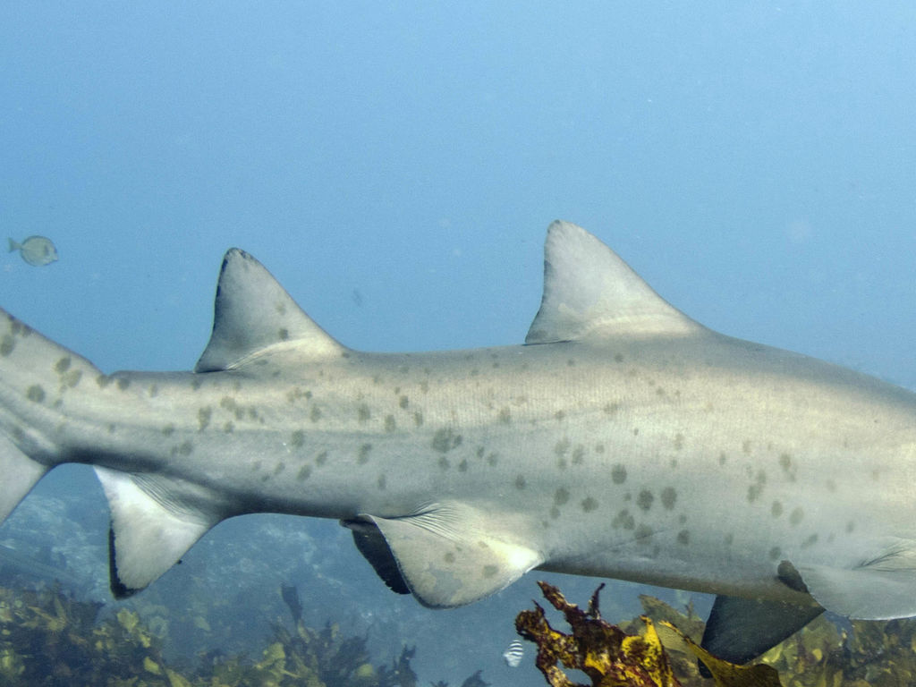 501d302a-12ae-44ab-8519-8d607683537b